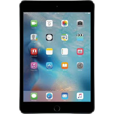 Apple iPad mini 4 A8 2015 reconditionné - meilleur prix